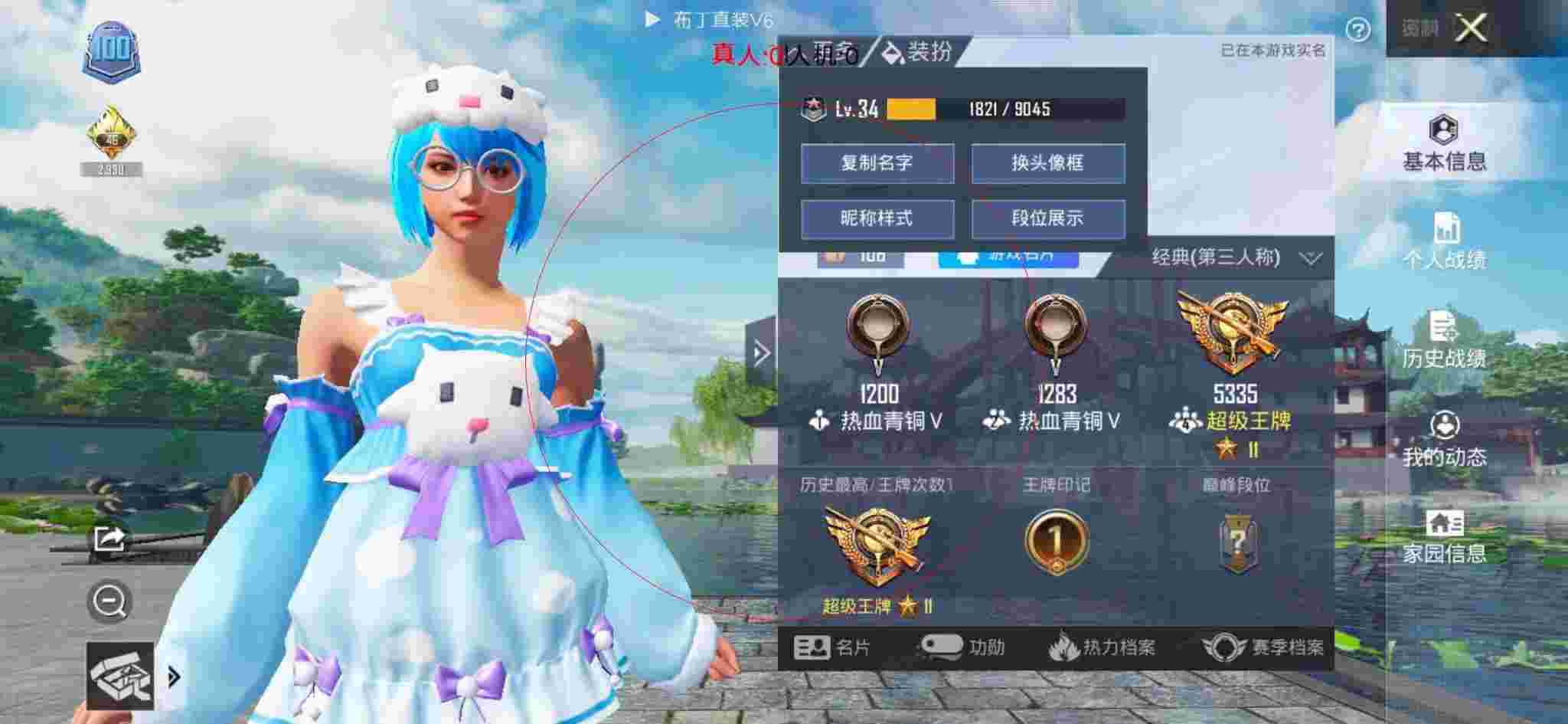 和平精英布丁直装透视 - 和平精英发型皮肤大全辅助预览图